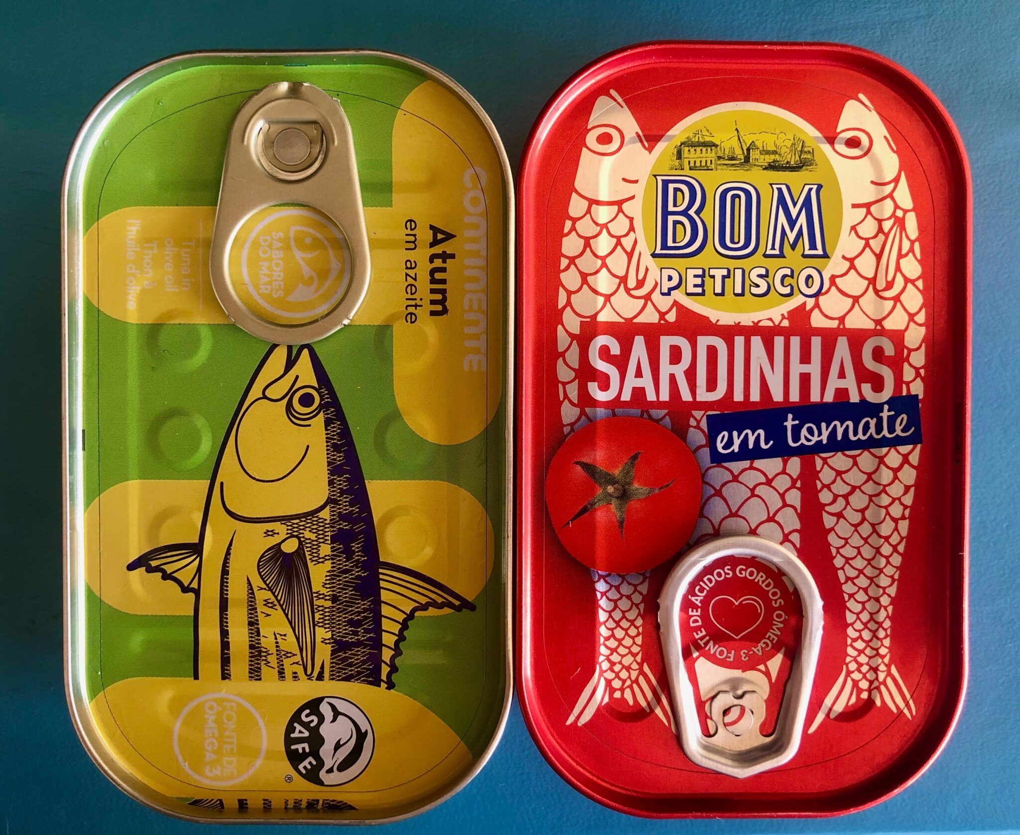 Case History 04 The Sardine Movement The Endless Sea